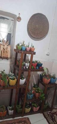 پایه گلدان چوبی در گروه خرید و فروش لوازم خانگی در آذربایجان شرقی در شیپور-عکس1