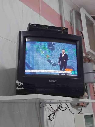 تلویزیون 14 اینچ سونی و21 اینچ پاناسونیک در گروه خرید و فروش لوازم الکترونیکی در خراسان رضوی در شیپور-عکس1