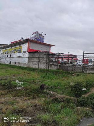 فروش زمین موقعیت تجاری مسکونی بر اول اتوبان در گروه خرید و فروش املاک در گیلان در شیپور-عکس1