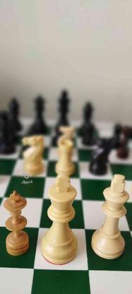 آموزش شطرنج توسط مربی فدراسیون بصورت حضوری در گروه خرید و فروش خدمات و کسب و کار در خراسان رضوی در شیپور-عکس1