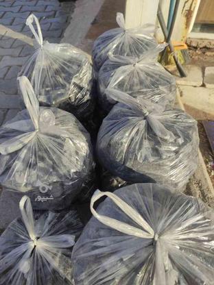 فروش زغال کبابی در گروه خرید و فروش خدمات و کسب و کار در کرمان در شیپور-عکس1