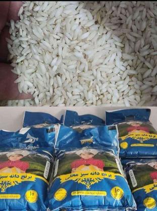 برنج عنبربو محلی معطر کوثر در گروه خرید و فروش خدمات و کسب و کار در البرز در شیپور-عکس1