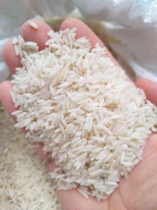 برنج طارم هاشمی خوش پخت وخوش عطر 75 در گروه خرید و فروش خدمات و کسب و کار در مازندران در شیپور-عکس1