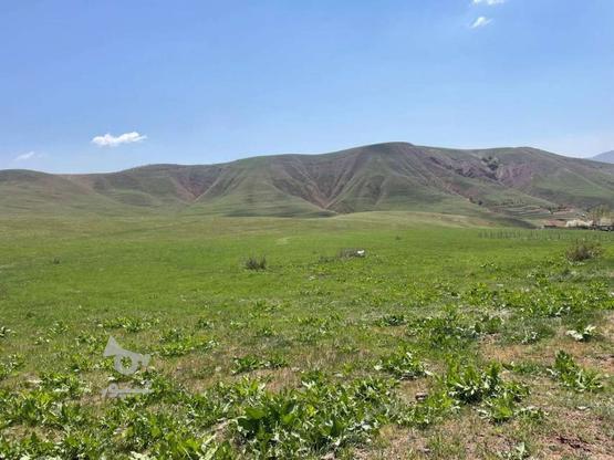 زمین کشاورزی 1000متر زمین در گروه خرید و فروش املاک در البرز در شیپور-عکس1