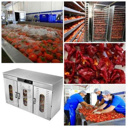 دستگاه خشک کن گوجه فرنگی میوه سبزی پیاز گیاهان دارویی ملون در گروه خرید و فروش صنعتی، اداری و تجاری در خوزستان در شیپور-عکس1
