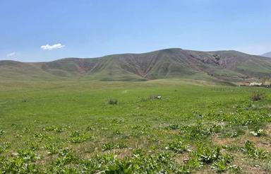 زمین کشاورزی ابیزار واقع در طالقان روستای دنبلید2150متر