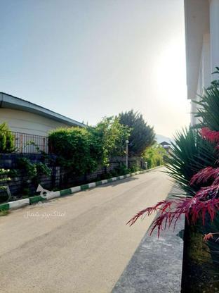 فروش زمین مسکونی 242 متر در سیسنگان فرسیان در گروه خرید و فروش املاک در مازندران در شیپور-عکس1