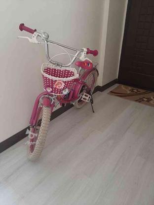 دوچرخه دخترانه سایز 20 در گروه خرید و فروش ورزش فرهنگ فراغت در البرز در شیپور-عکس1