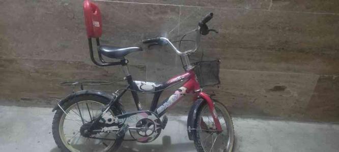 دوچرخه سالم سایز 16 در گروه خرید و فروش ورزش فرهنگ فراغت در البرز در شیپور-عکس1