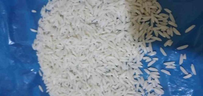 برنج طارم هاشمی مرغوب در گروه خرید و فروش خدمات و کسب و کار در مازندران در شیپور-عکس1