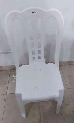 صندلی پلاستیکی در گروه خرید و فروش لوازم خانگی در قم در شیپور-عکس1