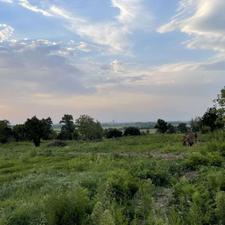 زمین مسکونی300متری در سوستان لاهیجان