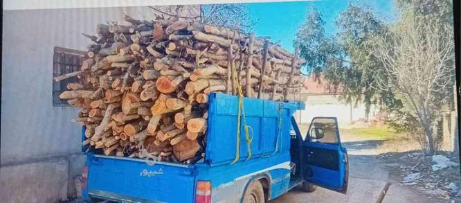 خریدار چوب درخت شما به بالاترین قیمت در گروه خرید و فروش خدمات و کسب و کار در گلستان در شیپور-عکس1