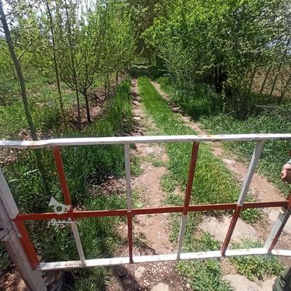 فروش زمین کشاورزی 2000 متر در خرمدره در گروه خرید و فروش املاک در زنجان در شیپور-عکس1