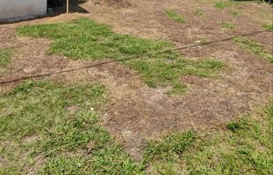 زمین مسکونی362متری در شاده سیاهکل