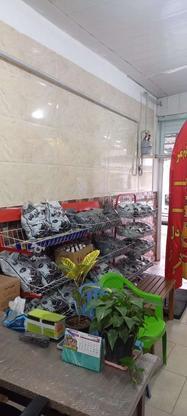 مغازه 27 متری در میدان بلال، سرقفلی، آب، برق، گاز و تلفن در گروه خرید و فروش املاک در مازندران در شیپور-عکس1