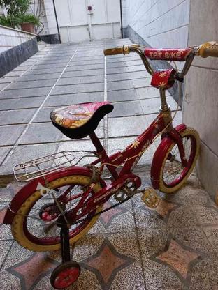 دوچرخه دخترانه 16 در گروه خرید و فروش ورزش فرهنگ فراغت در تهران در شیپور-عکس1