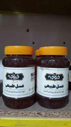 عسل طبیعی فوق العاده عالی بدون هیچ شکری در گروه خرید و فروش خدمات و کسب و کار در گلستان در شیپور-عکس1