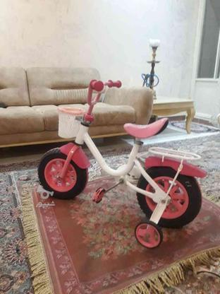 دوچرخه 12 دخترانه در حد نو در گروه خرید و فروش ورزش فرهنگ فراغت در البرز در شیپور-عکس1