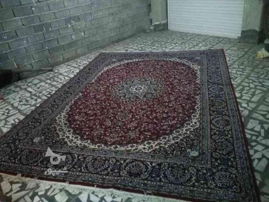 فرش تمیز سالم در گروه خرید و فروش لوازم خانگی در مازندران در شیپور-عکس1