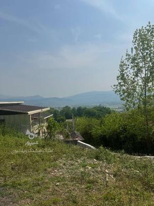 فروش زمین مسکونی 240 متر در بابلکنار در گروه خرید و فروش املاک در مازندران در شیپور-عکس1