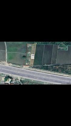 زمین 600 متر در گروه خرید و فروش املاک در مازندران در شیپور-عکس1
