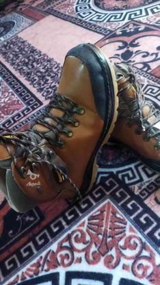 یک جفت کفش کوهنوردی سایز 43 در گروه خرید و فروش لوازم شخصی در گلستان در شیپور-عکس1