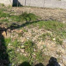 فروش زمین مسکونی 285 متر در گلرودبار لاهیجان