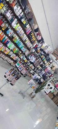 قشنگ ترین جوراب های کرمانشاه در گروه خرید و فروش لوازم شخصی در کرمانشاه در شیپور-عکس1