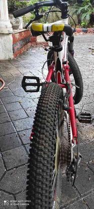 دوچرخه کوهستان رپیدو مدل Al6061دیسک سایز 20 در گروه خرید و فروش ورزش فرهنگ فراغت در مازندران در شیپور-عکس1