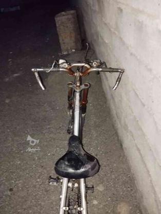 دوچرخه سایز 28 شکاری در گروه خرید و فروش ورزش فرهنگ فراغت در کرمان در شیپور-عکس1