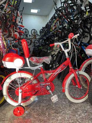 دوچرخه سایز 12 و 16 و 20 آکبند با کیفیت ارزان برای روز دختر در گروه خرید و فروش ورزش فرهنگ فراغت در زنجان در شیپور-عکس1