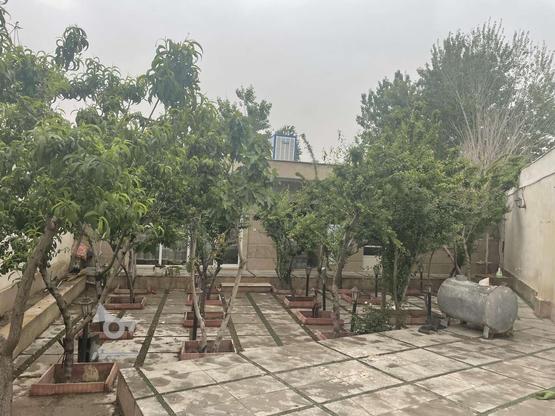 باغچه 200 متری یوسف رضا ورامین در گروه خرید و فروش املاک در تهران در شیپور-عکس1