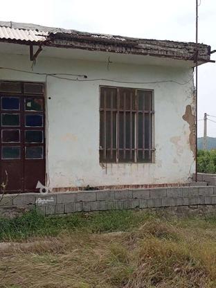 خونه قدیمی هست در گروه خرید و فروش املاک در مازندران در شیپور-عکس1