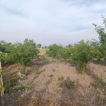 زمین150 متری با سند کارواش قادری در گروه خرید و فروش املاک در مازندران در شیپور-عکس1