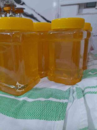 عسل طبیعی بهار نارنج در گروه خرید و فروش خدمات و کسب و کار در مازندران در شیپور-عکس1