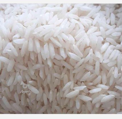 فروش انواع برنج مطلوب گیلان در گروه خرید و فروش خدمات و کسب و کار در گیلان در شیپور-عکس1