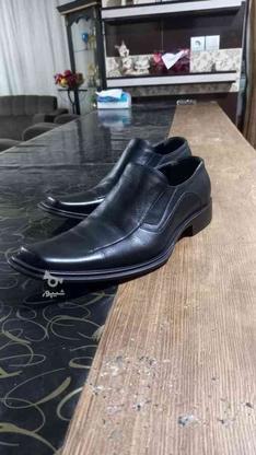 کفش چرم جنس دار مردانه سایز 42 در گروه خرید و فروش لوازم شخصی در مازندران در شیپور-عکس1