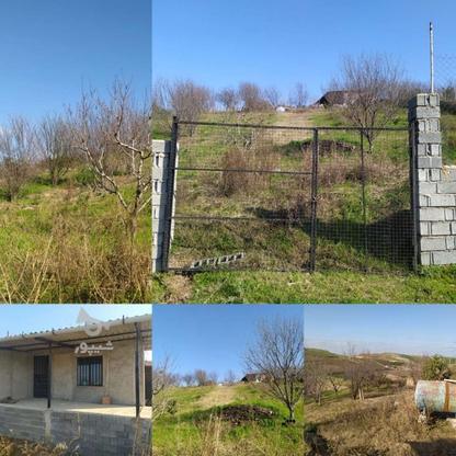 زمین و خانه ویلایی در مازندران شهرستان نکا1700متر در گروه خرید و فروش املاک در مازندران در شیپور-عکس1