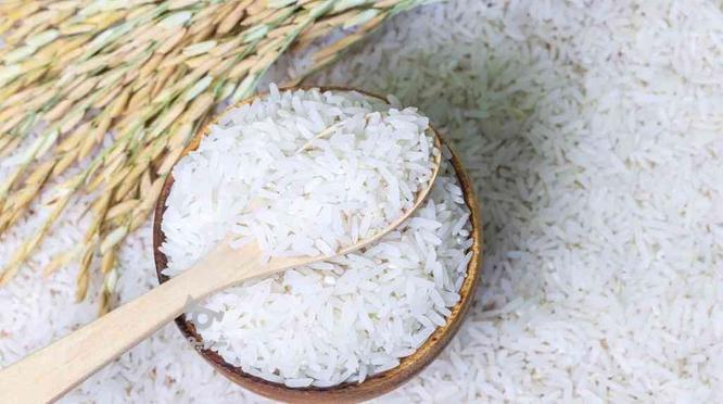 برنج طارم روشن در گروه خرید و فروش خدمات و کسب و کار در تهران در شیپور-عکس1