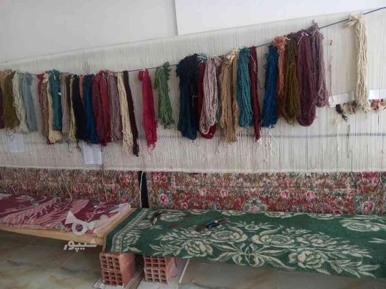 حراج فرشهای دست بافت نیمه کاره تمام شده با طرحهای مختلف در گروه خرید و فروش لوازم خانگی در اردبیل در شیپور-عکس1