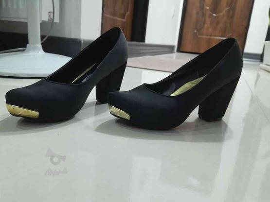 کفش مخمل 3 یا 4بار پا زدم پاره گی هم نداره در گروه خرید و فروش لوازم شخصی در مازندران در شیپور-عکس1