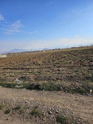 زمین باغی طالب گلی در گروه خرید و فروش املاک در آذربایجان شرقی در شیپور-عکس1