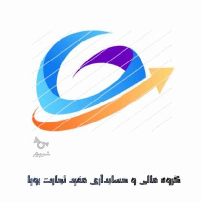 خدمات مالی و حسابداری مفید تجارت پویا در گروه خرید و فروش خدمات و کسب و کار در تهران در شیپور-عکس1