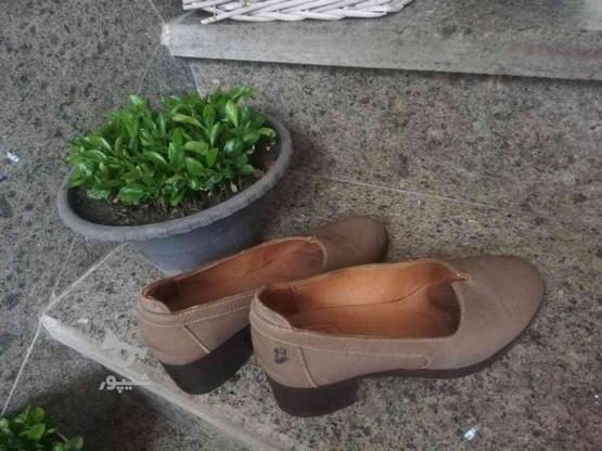 کفش زنانه پاشنه دار در گروه خرید و فروش لوازم شخصی در مازندران در شیپور-عکس1