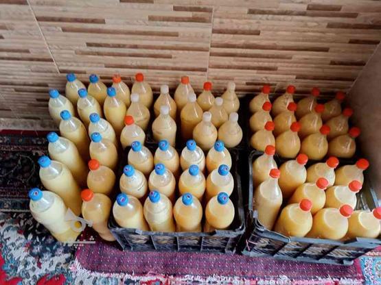 فروش آب لیمو طبیعی در گروه خرید و فروش خدمات و کسب و کار در فارس در شیپور-عکس1
