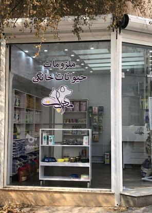 مغازه با ملکیت در گروه خرید و فروش املاک در تهران در شیپور-عکس1