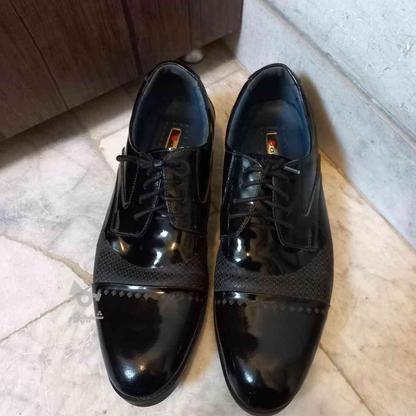 کفش دامادی ورنی 44بارویه ایتالیایی مارک ادلر درحدنو در گروه خرید و فروش لوازم شخصی در فارس در شیپور-عکس1