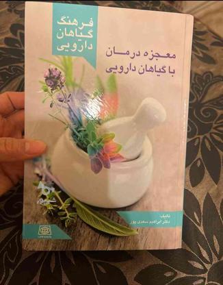 کتاب معجزه گیاهان دارویی در گروه خرید و فروش ورزش فرهنگ فراغت در تهران در شیپور-عکس1