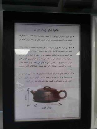 چای بهاره ساقه دار در گروه خرید و فروش خدمات و کسب و کار در مرکزی در شیپور-عکس1